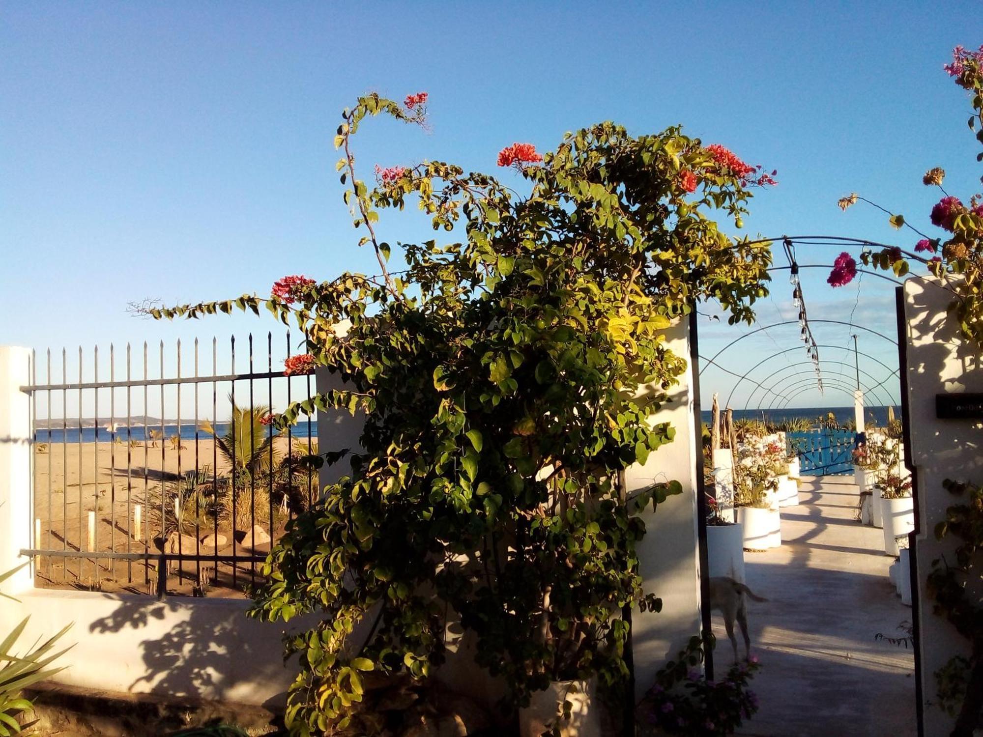 Cytyz Appart Hotel Mahajanga Extérieur photo